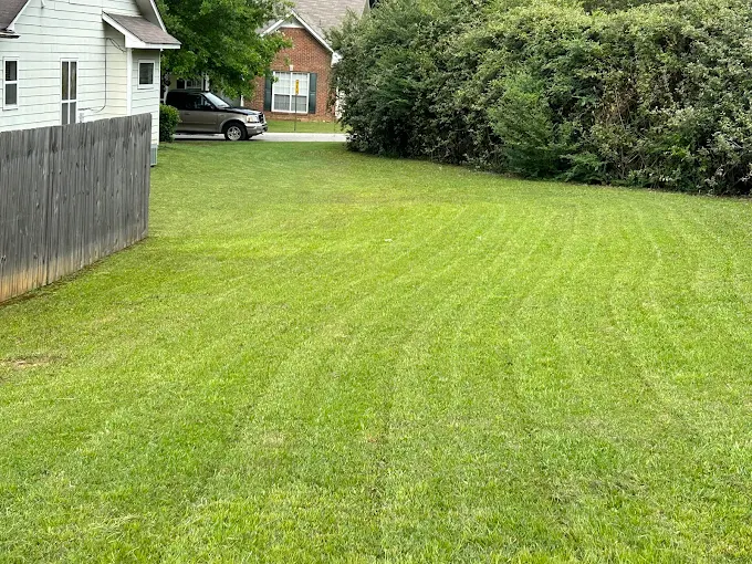 Lawn maintenance service near me
